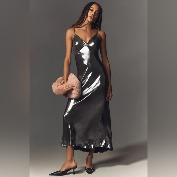 Anthropologie Dresses & Skirts - Anthropologie Metallic Silver Midi Dress